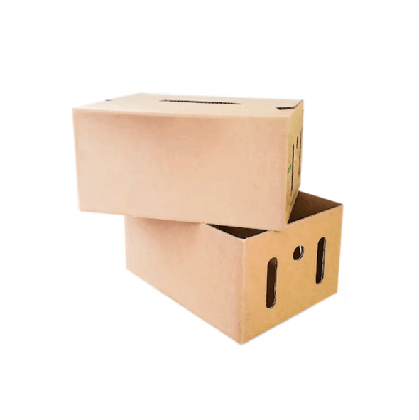 CASE BOXES