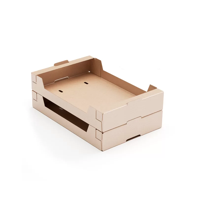 SEEDLING BOX